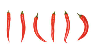 Red Chilli